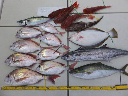 Hit Rush(ヒット ラッシュ） 釣果…