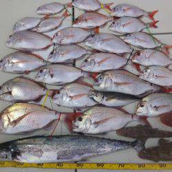 Hit Rush(ヒット ラッシュ） 釣果