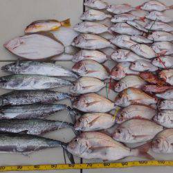 Hit Rush(ヒット ラッシュ) 釣果