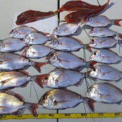 Hit Rush(ヒット ラッシュ） 釣果