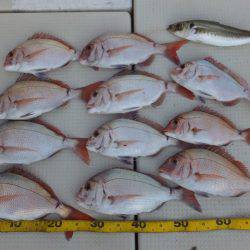 Hit Rush(ヒット ラッシュ） 釣果