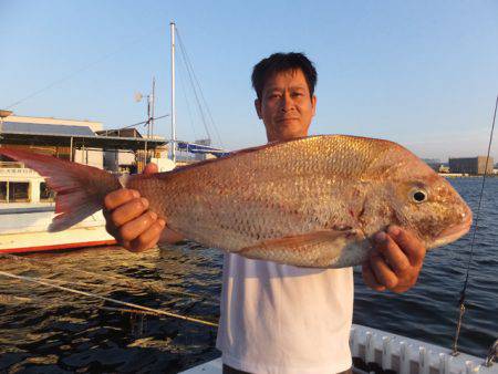 Hit Rush(ヒット ラッシュ） 釣果