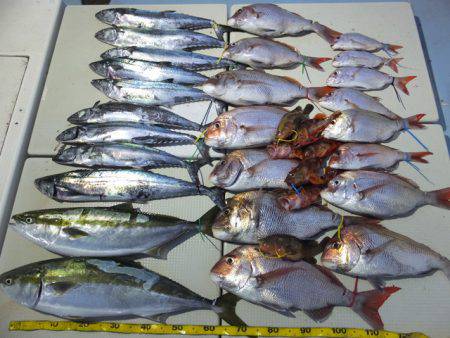 Hit Rush(ヒット ラッシュ） 釣果…