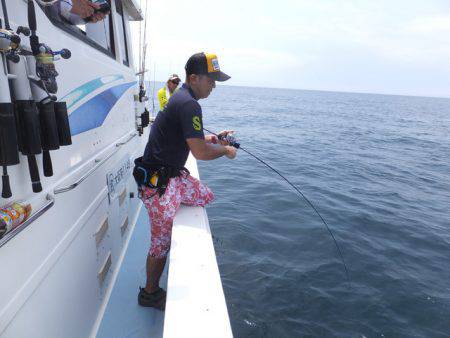 Hit Rush(ヒット ラッシュ） 釣果