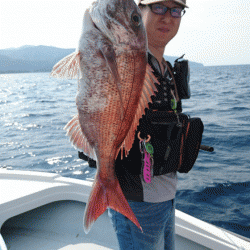 遊漁船ブルーウッズ 釣果