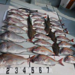 遊漁船 幸友丸 釣果