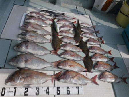 遊漁船 幸友丸 釣果