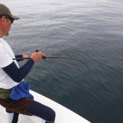 BlueNote Fishing Taxi 釣果