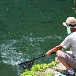小菅トラウトガーデン 釣果