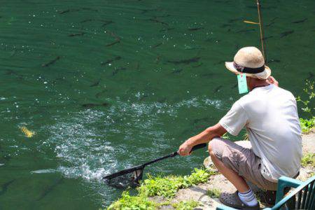 小菅トラウトガーデン 釣果