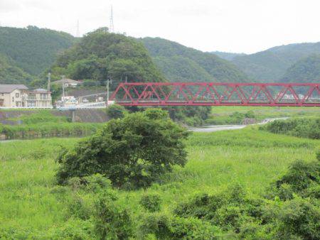 狩野川（狩野川漁業協同組合） 釣果