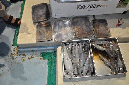 八海丸 釣果