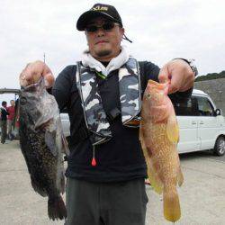 大進丸(新潟) 釣果