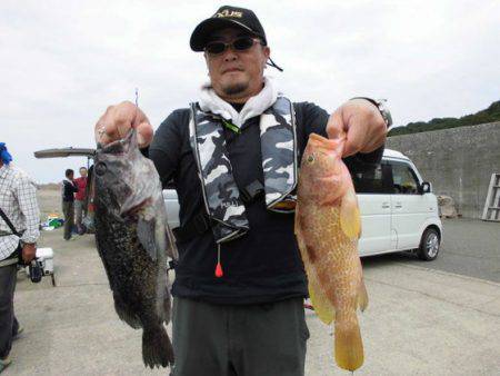 大進丸(新潟) 釣果