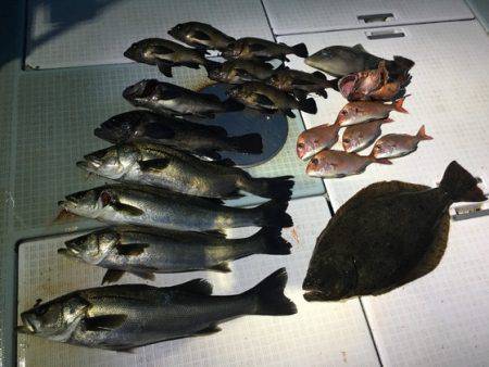 ふじしめ丸 釣果