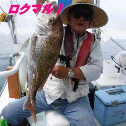 遊漁船 幸友丸 釣果