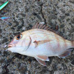 お手軽ショアスロー