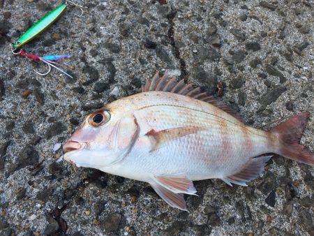 お手軽ショアスロー