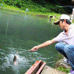 小菅トラウトガーデン 釣果