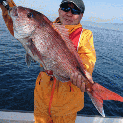 遊漁船ブルーウッズ 釣果