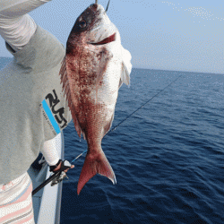 遊漁船ブルーウッズ 釣果