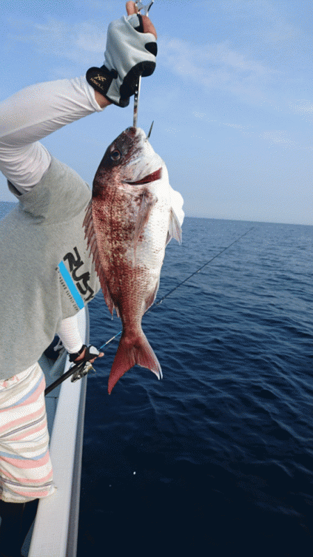 遊漁船ブルーウッズ 釣果