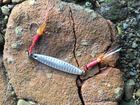 まだまだ開拓の余地あり