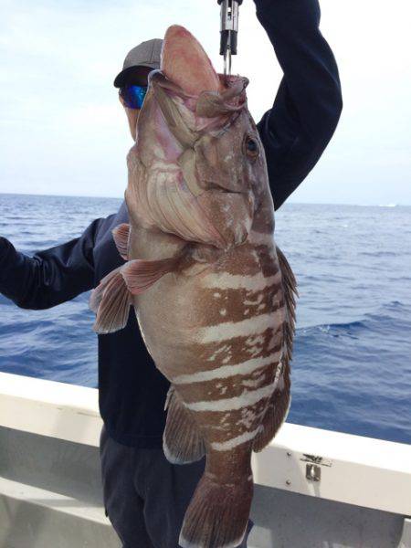 Blue.win 海人丸 釣果