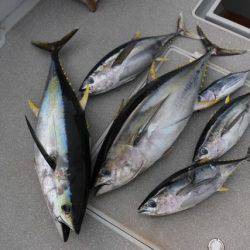 へいみつ丸 釣果