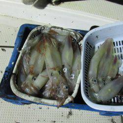 ジギング船 BLUEWATER 釣果