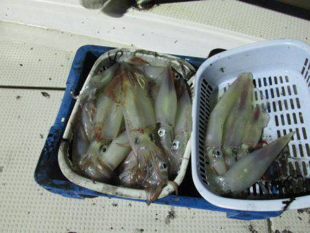 ジギング船 BLUEWATER 釣果