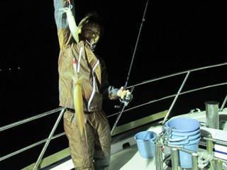 ジギング船 BLUEWATER 釣果