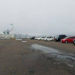 ガセ情報では…(-“”-;)