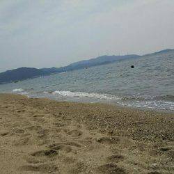 投げ釣りでキス