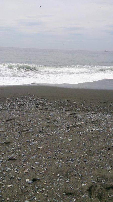 サーフでショアジギング！