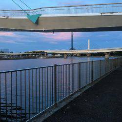 八景島 アジング