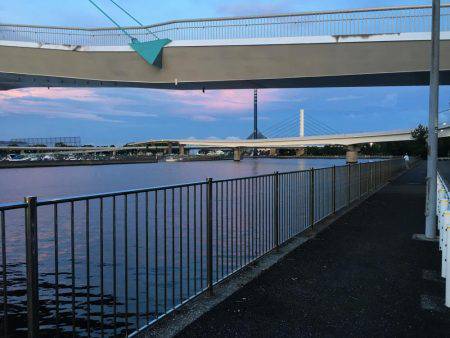 八景島 アジング