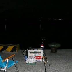 富島港でキス釣り