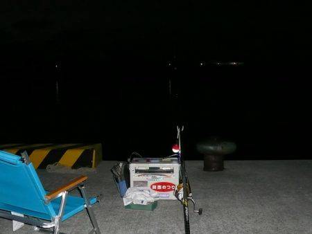 富島港でキス釣り