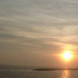 台風前に底物調査！