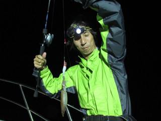 ジギング船 BLUEWATER 釣果