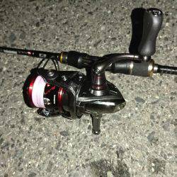 癒しのガシリング