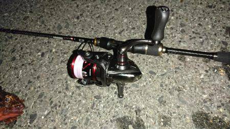 癒しのガシリング