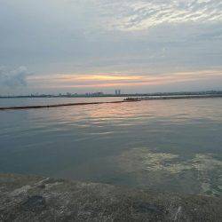 初めてのタコ釣り