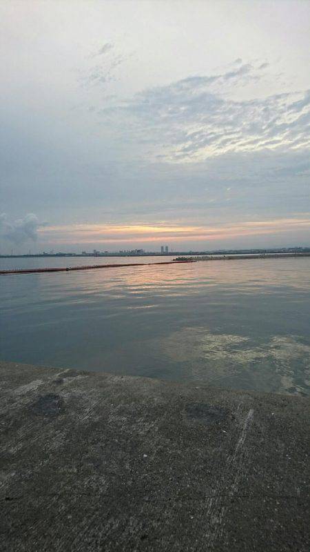 初めてのタコ釣り