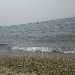 投げ釣りでキス