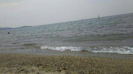 投げ釣りでキス