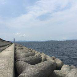 ツバスは何処へ