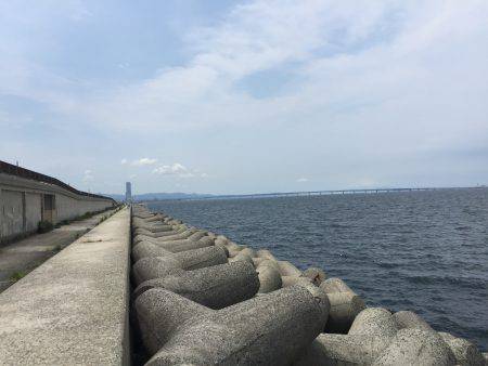 ツバスは何処へ