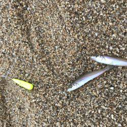 豆チャリコの猛攻に!